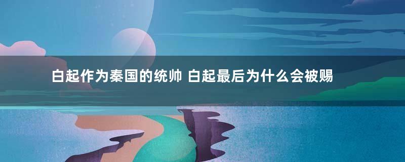 白起作为秦国的统帅 白起最后为什么会被赐死